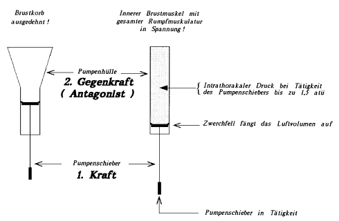 http://www.edition-vonderwoeste.homepage.t-online.de/images/bild_atemschule.gif